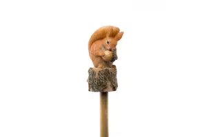 Beatrix Potter Set of 5 Coloured Cane or Stake Toppers Peter Rabbit, Jeremy Fisher, Benjamin Bunny, Mr Tod, Squirrel Nutkin