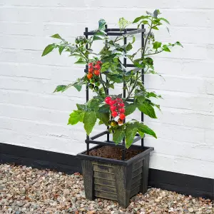 Planter with 4 Teir Trellis Structure, tomatos or climbing plants Bronze Effect H80cm x W31 x D31cm