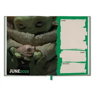 Star Wars The Mandalorian 2025 Grogu A5 Diary Multicoloured (One Size)