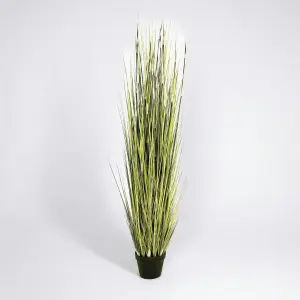 Blooming Artificial - 150cm / 5ft Fake River Grass