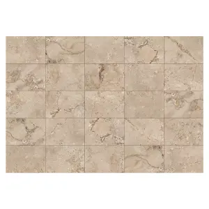 Zelus Beige Stone Effect Indoor & Outdoor Porcelain Tile - Pack of 4, 1.17m² - (L)650x(W)450mm