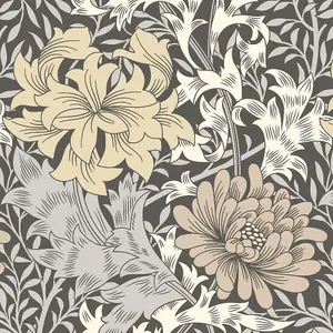 Hoopla Walls Chrysanthemum  Graphite Mix Smooth Matt Wallpaper