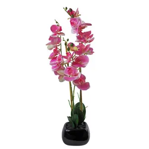 Orchid Arrangement in Planter Light Pink