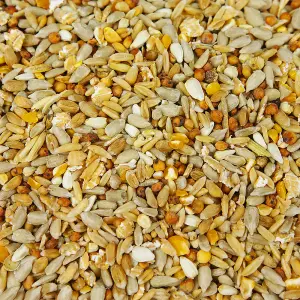 2.5L SQUAWK No Mess Seed Mix - Husk-Free Premium Grade Wild Bird Food Mixture