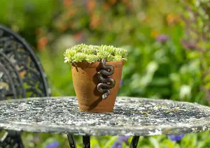 Antique Bronze Coloured Boa Constrictor Pot Buddy Plant Pot Hanger