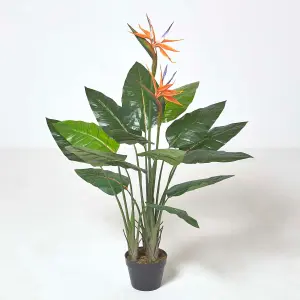 Homescapes Bird of Paradise Plant in Pot, 120 cm Tall