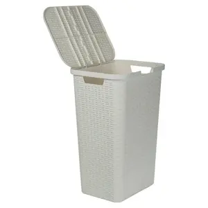 Plastic Laundry Hamper with Handles White