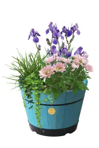 VegTrug Wooden Barrel Planter - Medium Build-a-Barrel Kit Blue