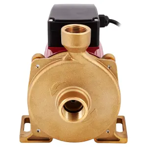 Trident Heavy-Duty Central Heating Water Pump