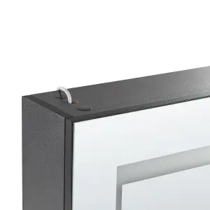 Bathroom Wall Mounted Mirror Cabinet with LED 40 x 60 cm Black MALASPINA