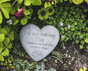 Beloved Dog Heart-Shaped Pet Memorial