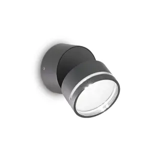 Luminosa Omega Round Single Spotlight Anthracite IP54 3000K