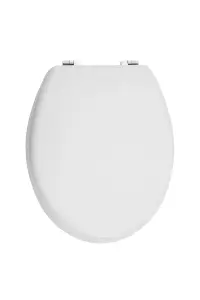 Maison by Premier Brooks Matte White Toilet Seat