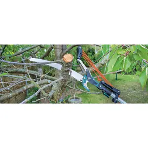 Draper Tree Pruner with Telescopic Handle, 32mm Diameter 45334