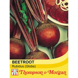 Beetroot Detroit 6 Rubidus 1 Seed Packet (200 Seeds)