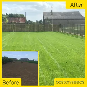 BS Quality Hard Wearing Lawn Seed (1 x 2kg)