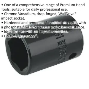 19mm Chrome Vanadium Forged Impact Socket - 1/2 Inch Drive for Heavy-Duty Use