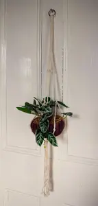 85cm Hanging Artificial Potted Pothos Plant with Planter