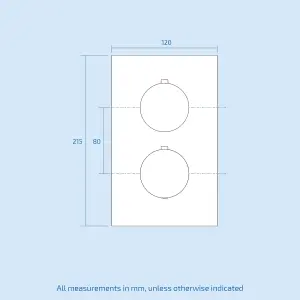 Nes Home Lily Ceiling Round Head Concealed Thermostatic Mixer Shower Valve Set