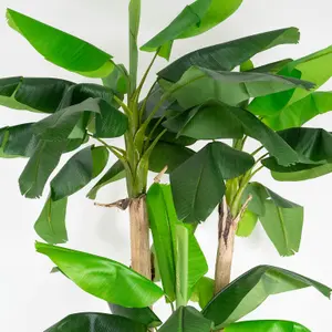 Blooming Artificial - 275cm / 9ft XL Artificial Musa Banana Tree