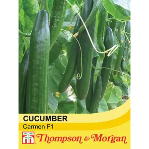 Cucumber Carmen F1 Hybrid 1 Seed Packet  (4 Seeds)