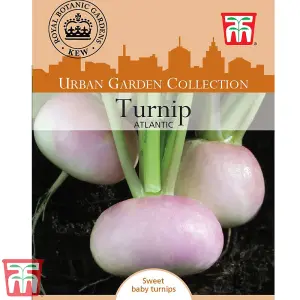 Turnip Atlantic 1 Seed Packet (75 Seeds)