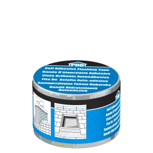 Roof pro Butyl Silver Tape (L)10m (W)100mm