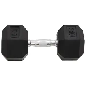 Dumbbells set Fitness Gym Essential 2 pcs 20 kg Cast Iron