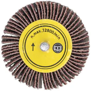 25mm Aluminium Oxide Flap Wheel for Metal Finishing - 6mm Shaft, 60 Grit