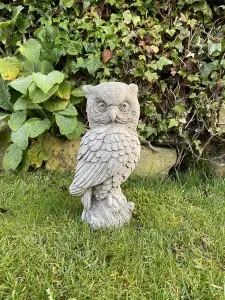 Cute Stone Owl garden ornament