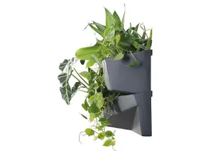 Vertical Standing Garden Flower Pots Cascade Balcony Anthracite Plant Wall Levels cascade