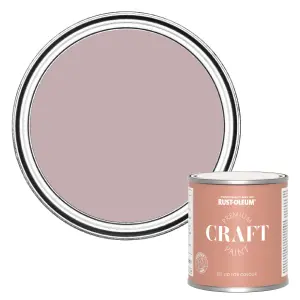 Rust-Oleum Premium Craft Paint - Little Light 250ml