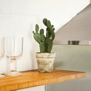 Blooming Artificial - 20cm / 0.75ft Artificial Bunny Ear Cactus