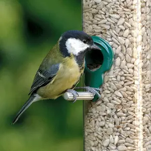 12.5kg SQUAWK Sunflower Hearts - Bakery Grade Seed Kernels No Mess Wild Bird Food