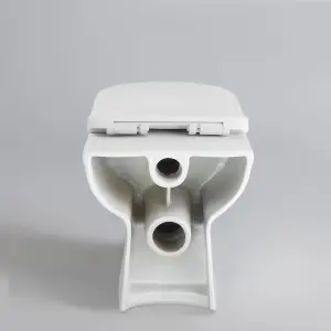 Nes Home Ingersly Back To Wall Modern Toilet Pan & Soft Close Seat + Concealed Cistern