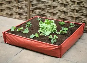 Primrose Instant Raised Bed Patio Planter 100cm²