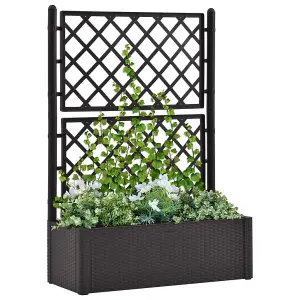 Berkfield Garden Raised Bed with Trellis and Self Watering System Anthracite