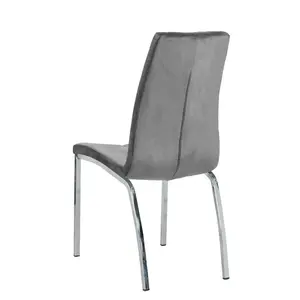 Knudsen Velvet Upholstered Side Chair (Set of 2) Grey