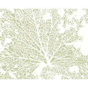 Origin Murals Skeleton Leaf - Sage Green Matt Smooth Paste the Wall Mural 300cm wide x 240cm high