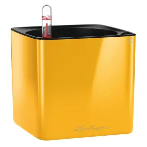 LECHUZA CUBE Glossy 14 Sunny Yellow High-Gloss Table Self-watering Planter with Water Level Indicator H14 L14 W14 cm, 1.4L