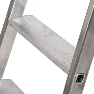 TB Davies 6 Tread Heavy-Duty Platform (1.35m) Step Ladder