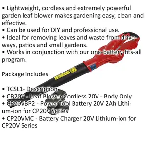 20V Lightweight Cordless Leaf Blower - 2Ah Lithium-ion Battery & Battery Charger