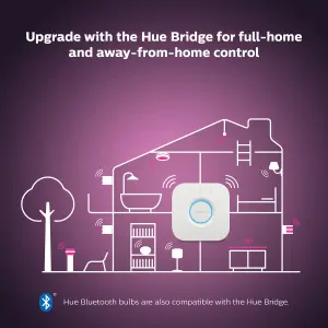 Philips Hue Argenta White and Colour Ambiance Single Spotlight