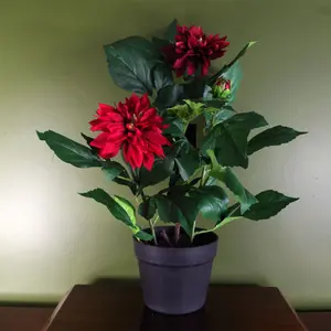 Artificial Dhalia  Plant Flowers Flowering Plant Red Botanik