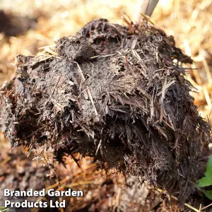 Strulch Mineralised Straw Garden Mulch - 100 Litre Bag x 20 - Natural Slug & Snail Deterrent