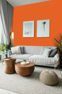 Leyland Trade Vinyl Soft Sheen Walls & Ceilings Emulsion Paint Pure Orange (RAL 2004) - 2.5L