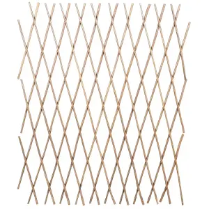 Berkfield Willow Trellis Fence 5 pcs 180x90 cm