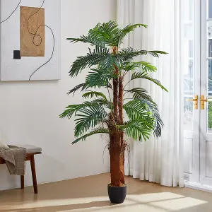 200cm H Artificial Cycas Palm Decorative Plant in Planter for Outdoor Office