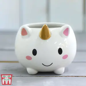 Unicorn Pot with Gold Horn - 1 Pot