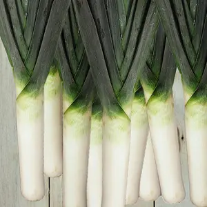 Leek Murcia 1 Seed Packet (100 Seeds)